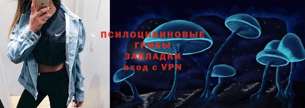 2c-b Богданович