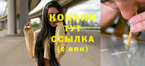дмт Горняк