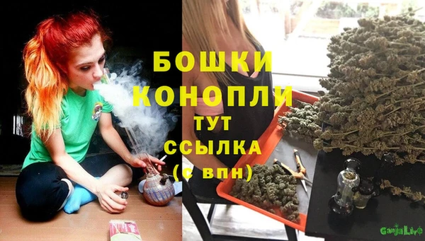 альфа пвп Горнозаводск