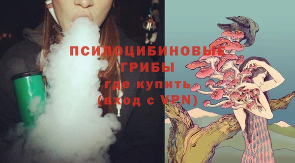 винт Богородицк