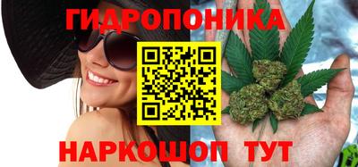 PSILOCYBIN Канаш