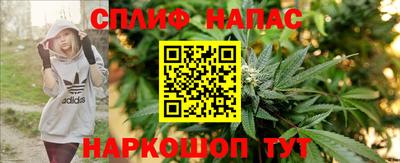PSILOCYBIN Канаш