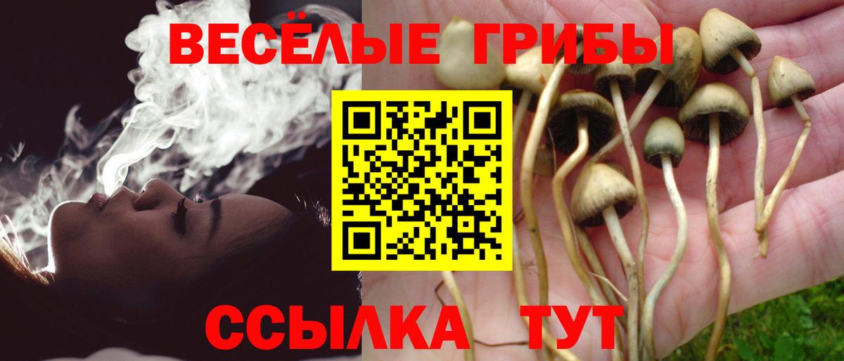 Кстово  Псилоцибиновые грибы Cubensis  Вход с VPN 