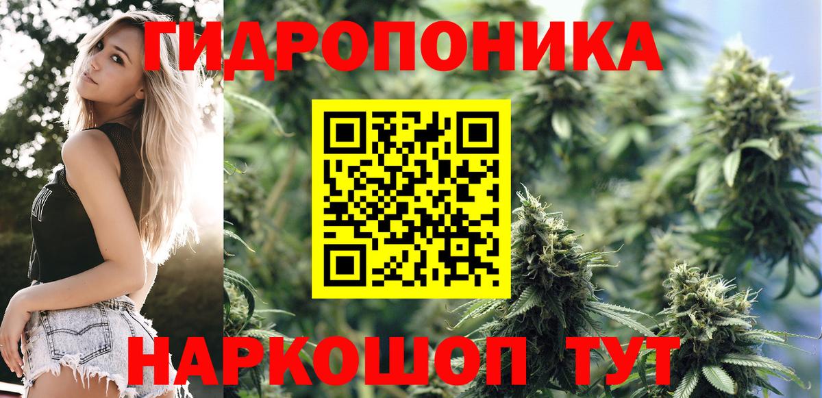 Бошки Шишки LSD WEED Кстово